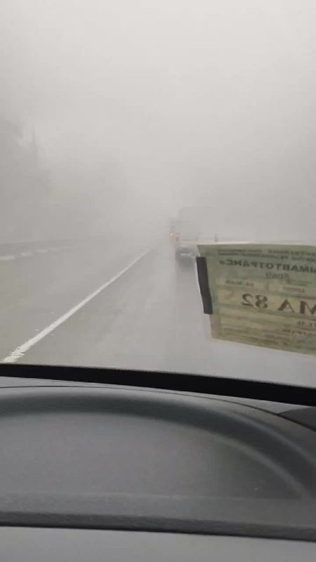 В Алуште есть шанс внезапно наткнуться на ежика – на город опустился густой туман