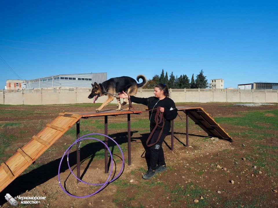 � ����� ��������� ������ "������������" �������� ��� ������ �����