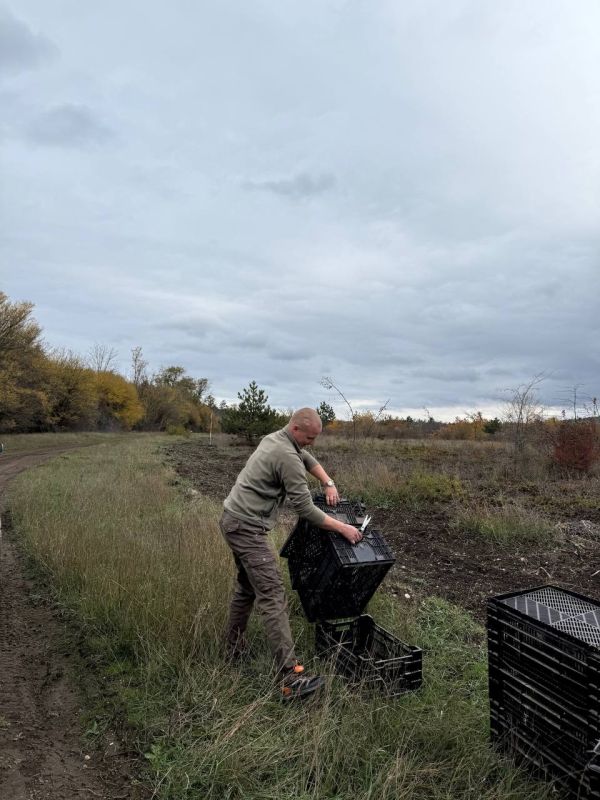 ������� �������� � ��������� �������� ���������� ���� ����� ������� ������� ������� � ���������� ������ � ��������������� ������