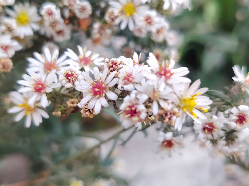 � ������ �����, �������!. �������� �� ������, ���� ������� ���� � �������� ���������� �� ����! ������� � �������� ������� (�������� ��������� �����), t + 11 - +16, ����� ������, ���-��������