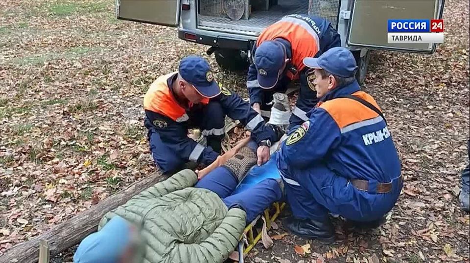 Дежурная часть Вести Крым: выпуск 27.10.2025