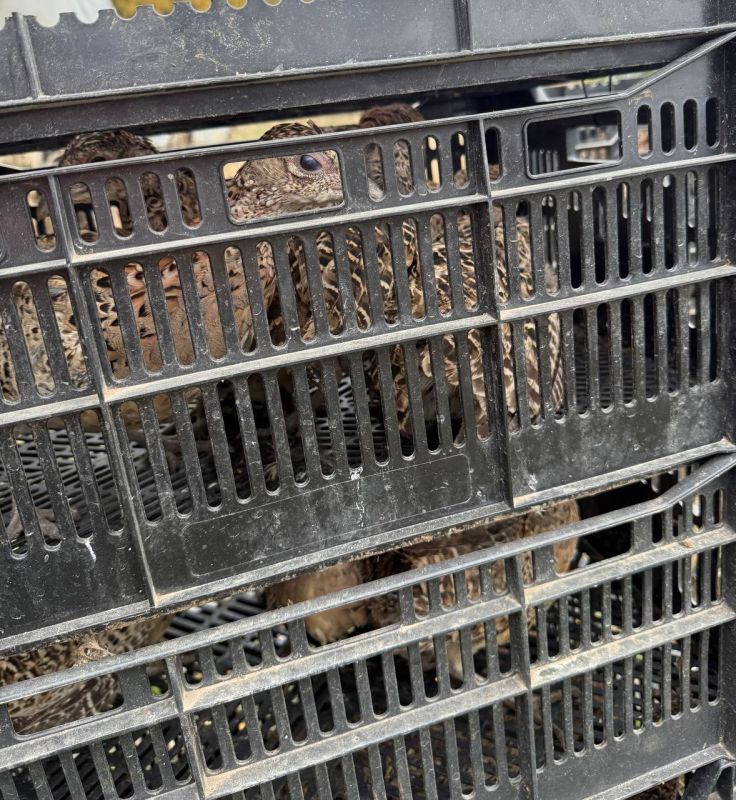 ������� �������� � ��������� �������� ���������� ���� ����� ������� ������� ������� � ���������� ������ � ��������������� ������