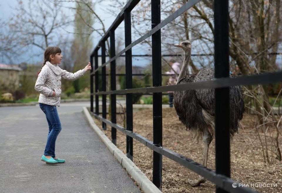 Осенние каникулы у школьников: куда сходить и как провести время?