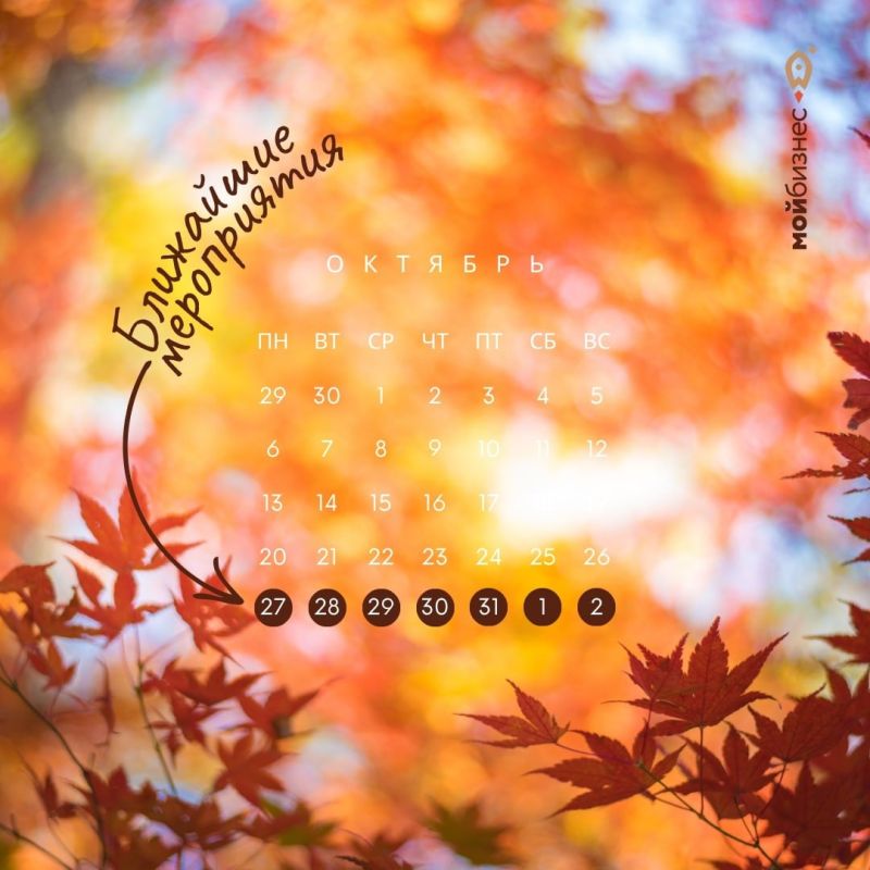 ��������� �����������: 27 ������� � 2 ������