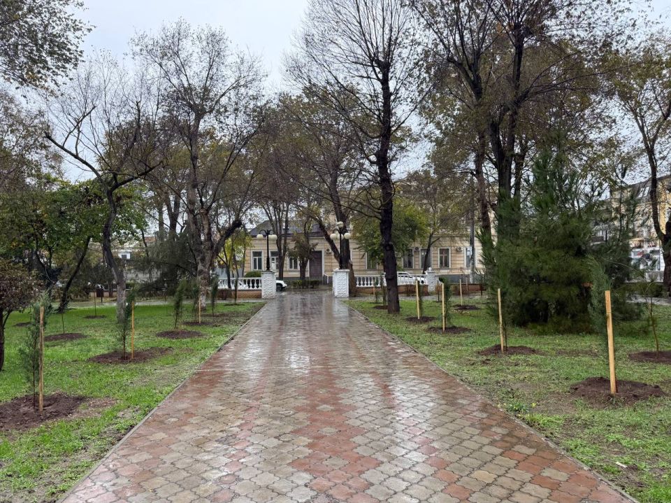 В скверах Евпатории высаживают новые деревья В скверах Евпатории высаживают новые деревья