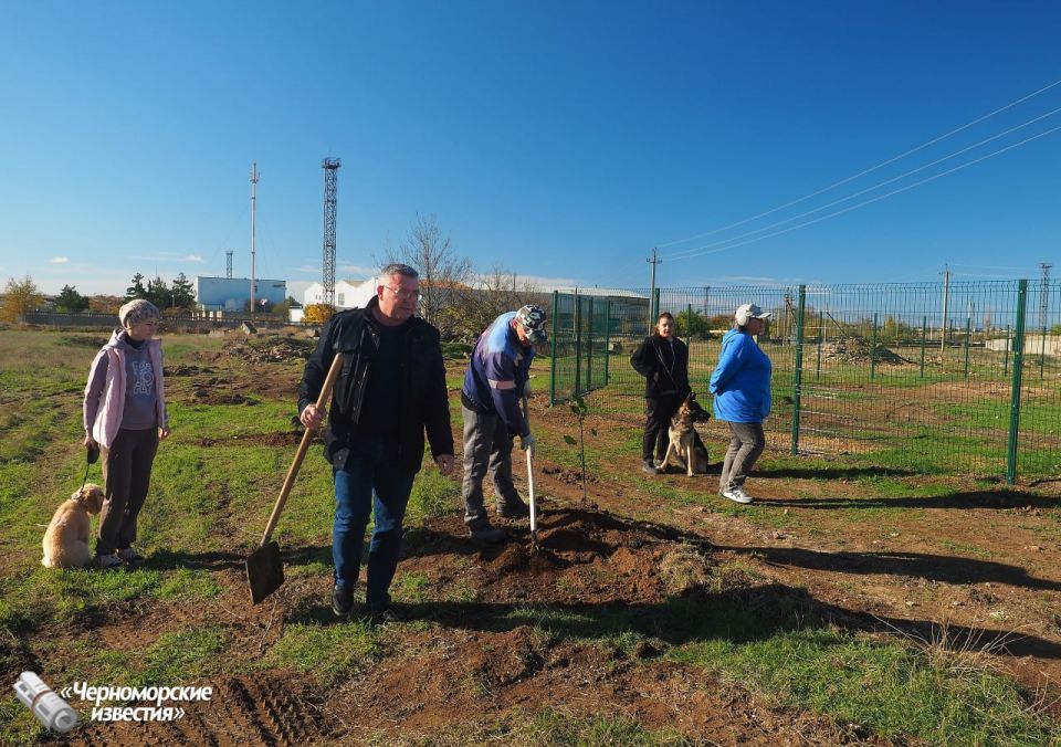 � ����� ��������� ������ "������������" �������� ��� ������ �����