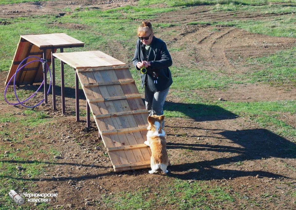 � ����� ��������� ������ "������������" �������� ��� ������ �����