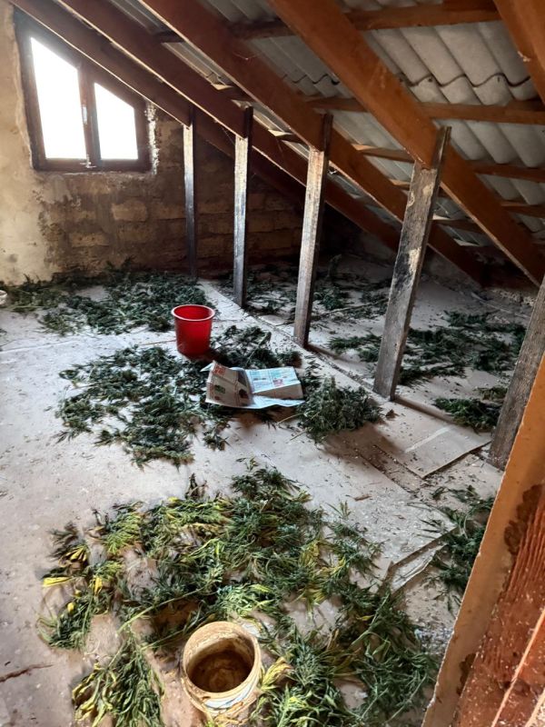 ����� 4 �� � � �� ��� ����: � ������� ������ ��������� �������, ������� ��������� �������