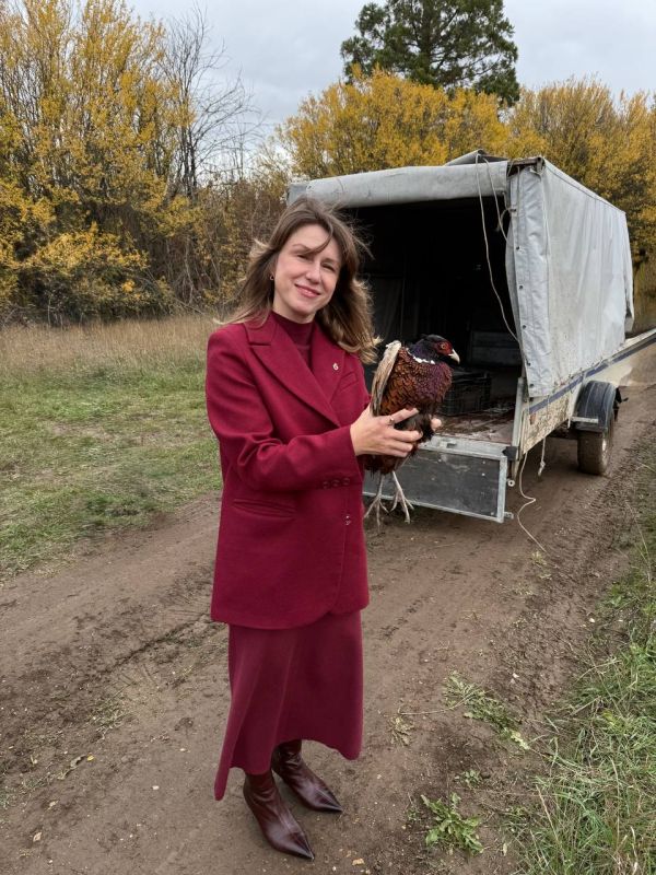 ������� �������� � ��������� �������� ���������� ���� ����� ������� ������� ������� � ���������� ������ � ��������������� ������