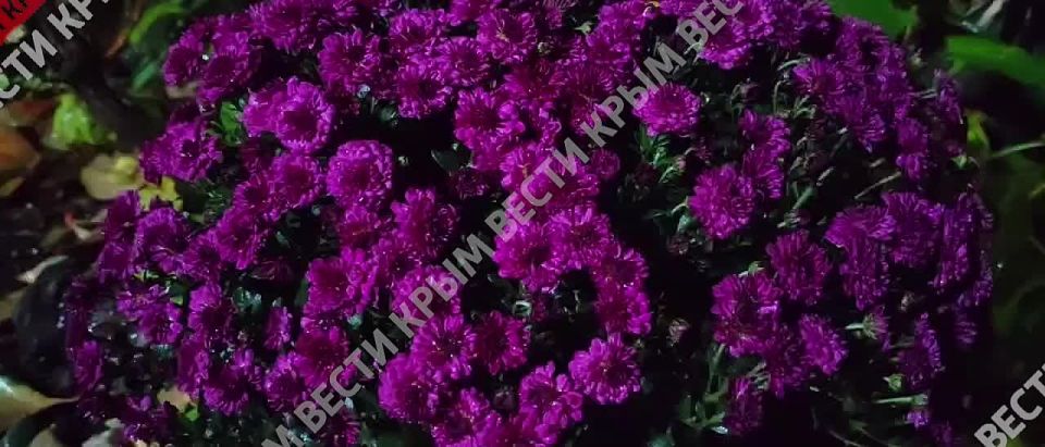 ��������� �������� � ��������� ������ ����������