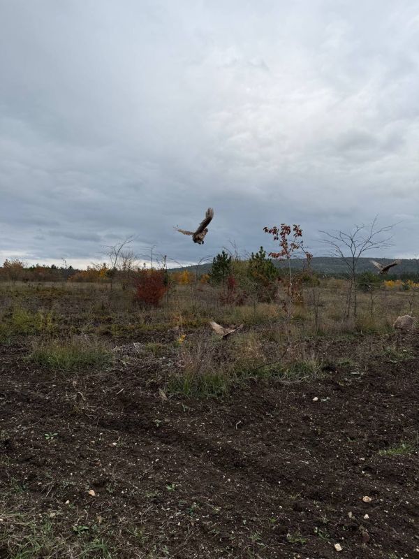 ������� �������� � ��������� �������� ���������� ���� ����� ������� ������� ������� � ���������� ������ � ��������������� ������