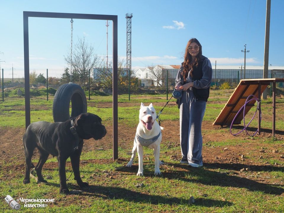 � ����� ��������� ������ "������������" �������� ��� ������ �����