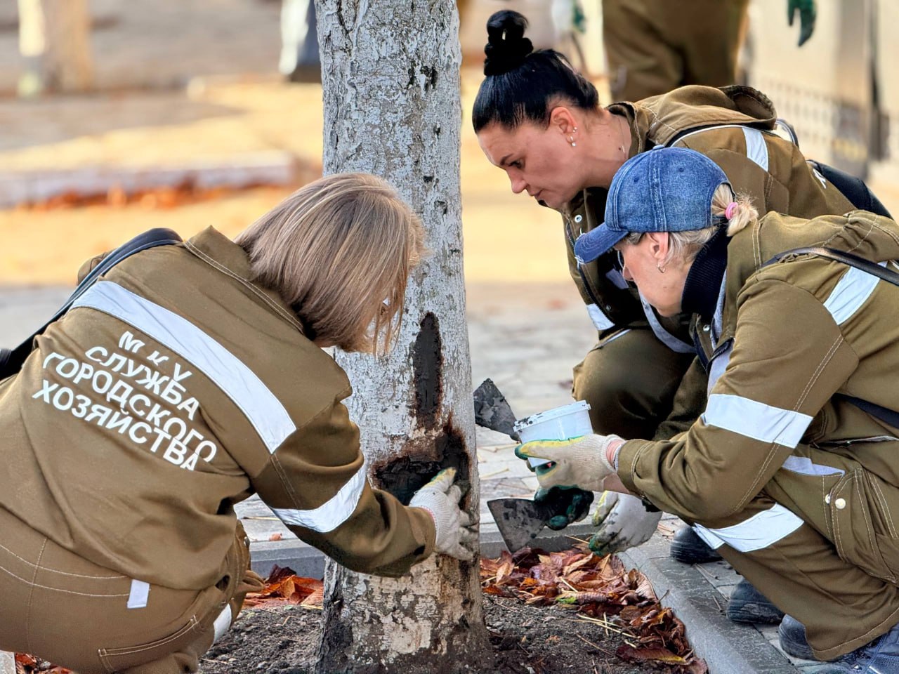 Каштаны на ул. Козлова обрабатывают от вредителей Каштаны на ул. Козлова обрабатывают от вредителей