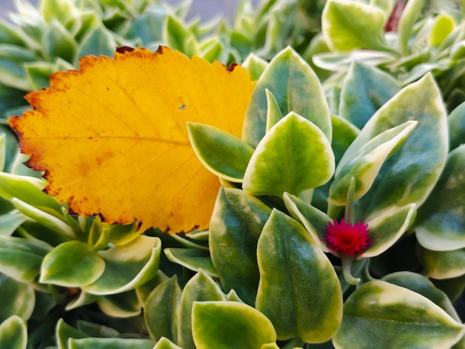 � ������ �����, �������!. ����� ����� � ������� ������� ������� ������ ������������ ��� ���� ����, ������� � �����, �������� ������, ������� �����, ����� � �����������! ������� � �������� ������������ ���������� (��������...