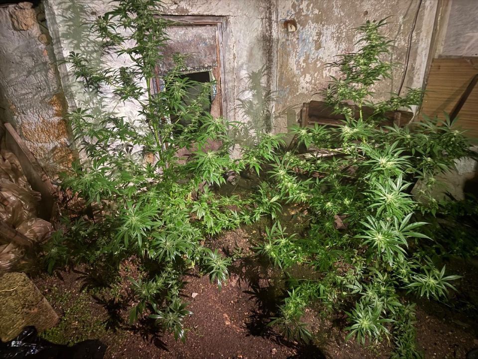 ������� ��������� �� ������������ ������� ������ �������� ������