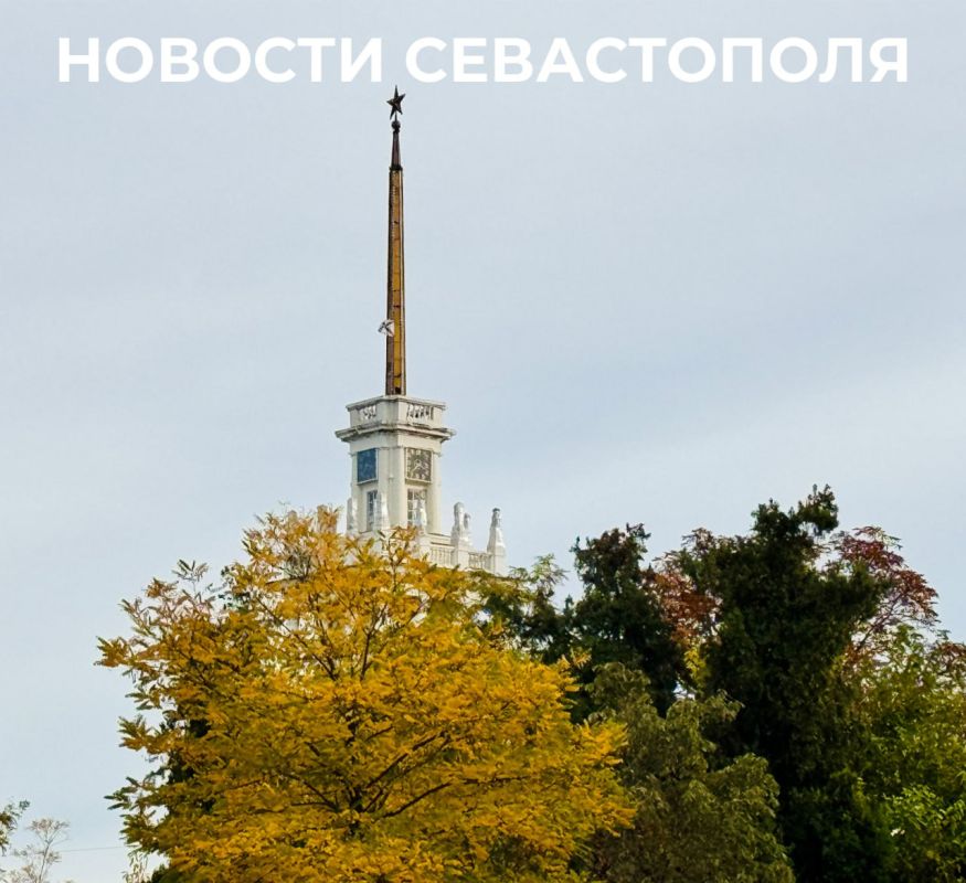  :   :.                 ,      