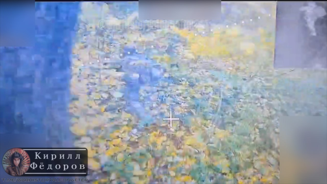 ПРЯЧЬСЯ, НЕ ПРЯЧЬСЯ, ВСЁ РАВНО ПОЛУЧИШЬ ДРОН! ПРЯЧЬСЯ, НЕ ПРЯЧЬСЯ, ВСЁ РАВНО ПОЛУЧИШЬ ДРОН!