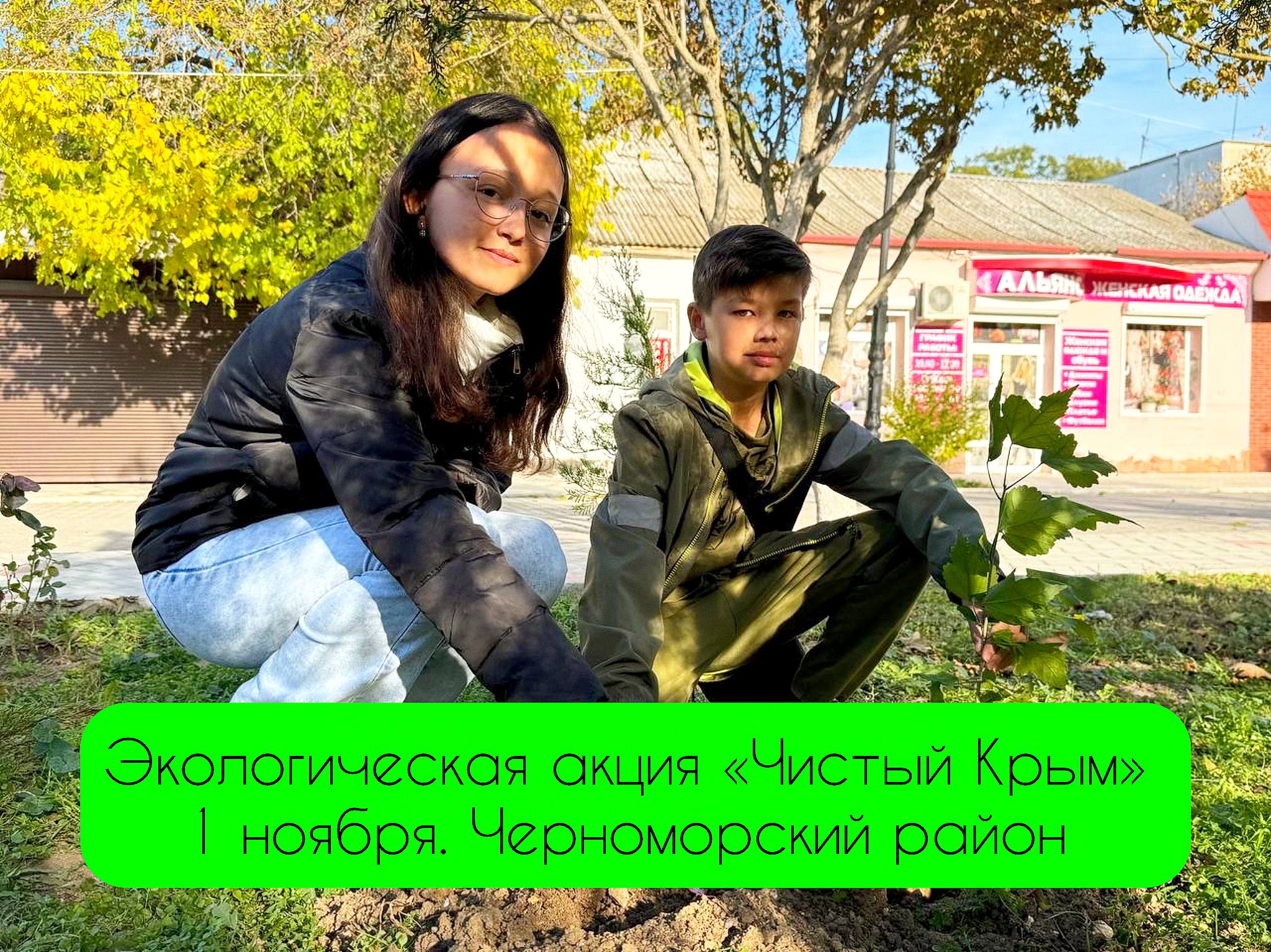 Александр Дудинов: Приглашаем принять участие в экологической акции «Чистый Крым»!