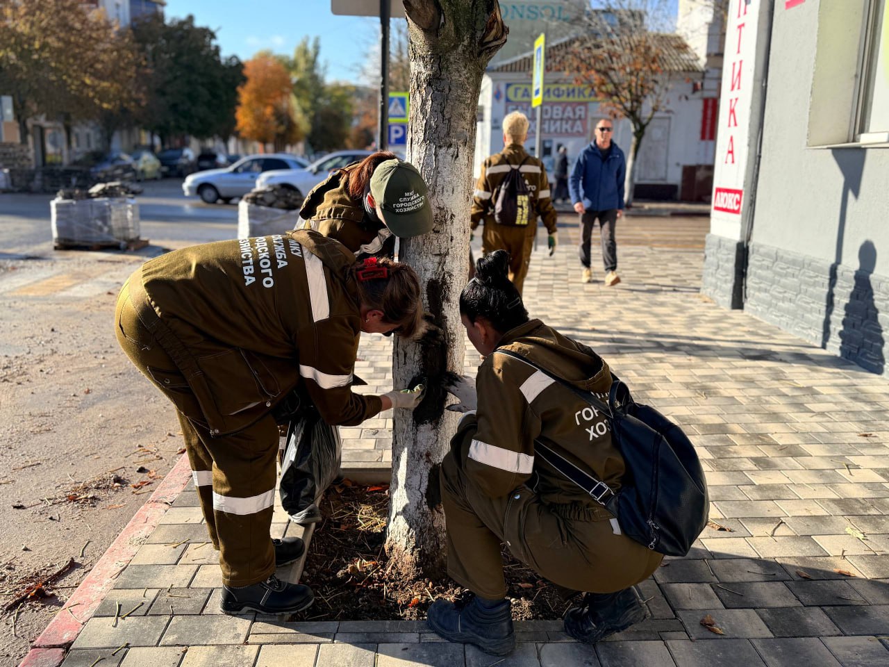 Каштаны на ул. Козлова обрабатывают от вредителей Каштаны на ул. Козлова обрабатывают от вредителей