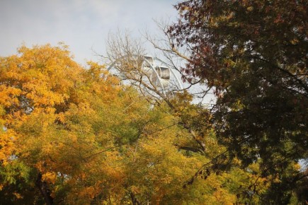 Золотая осень в Евпатории