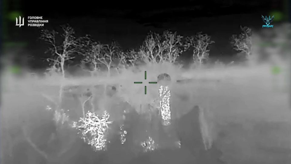 �����-��������� ��� ������� �� Starlink ��������� ��������� ������ ����������