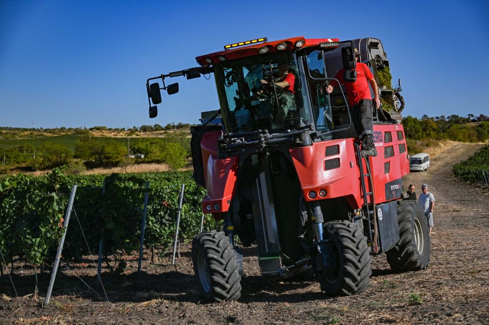 ������ ���������: � ����������� ����������� �������� ���� ���������