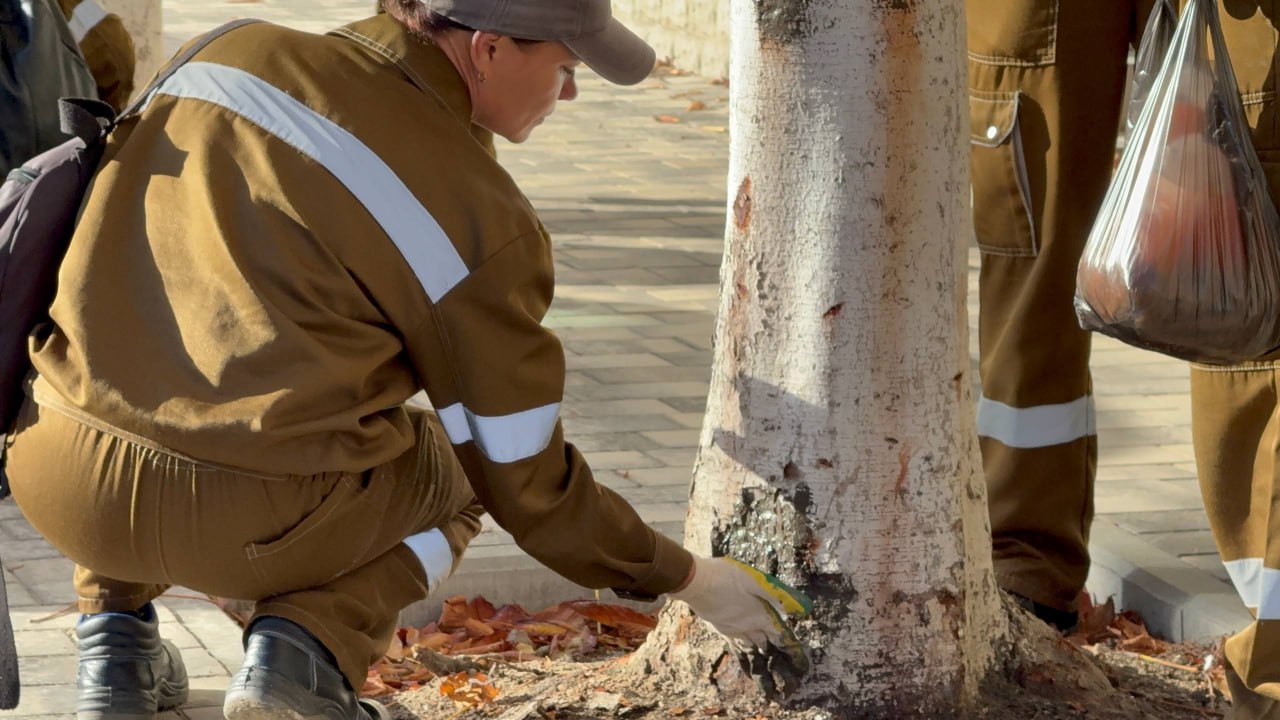 Каштаны на ул. Козлова обрабатывают от вредителей Каштаны на ул. Козлова обрабатывают от вредителей