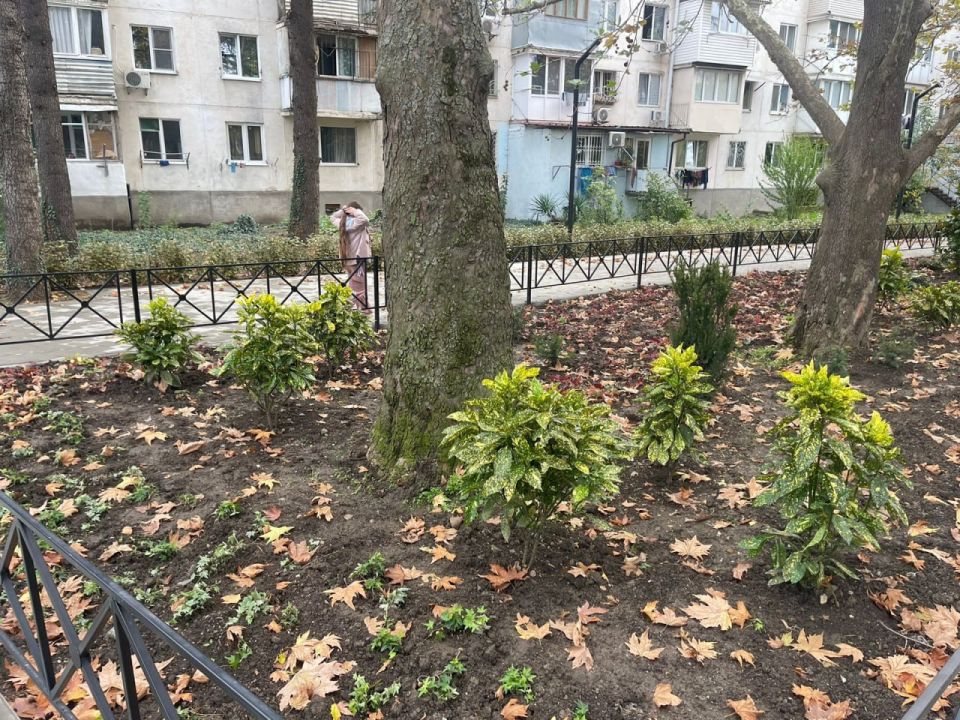 ������ ������: ���������� ��������� ������� ������!