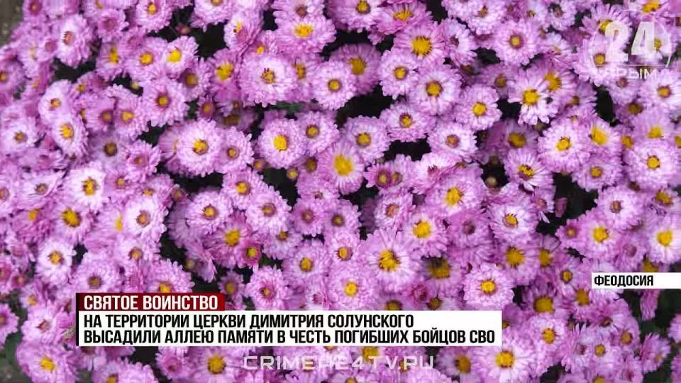 � �������� ����������� � ������ ������ � �������� ������ ���