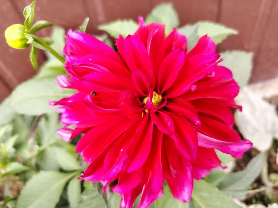 � ������ �����, �������!. ������ � ������� ���� ����������� ����������, ������� � �������! ����� �������� ������� ��������� ���������� ������������� � ���������� ��������