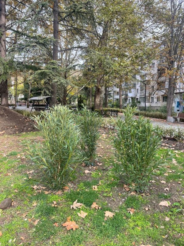 ������ ������: ���������� ��������� ������� ������!