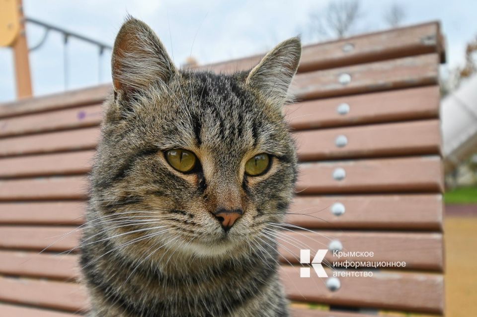 �� ���� ������ ���� �������������� �������� � ���� �������� ������������������ ������