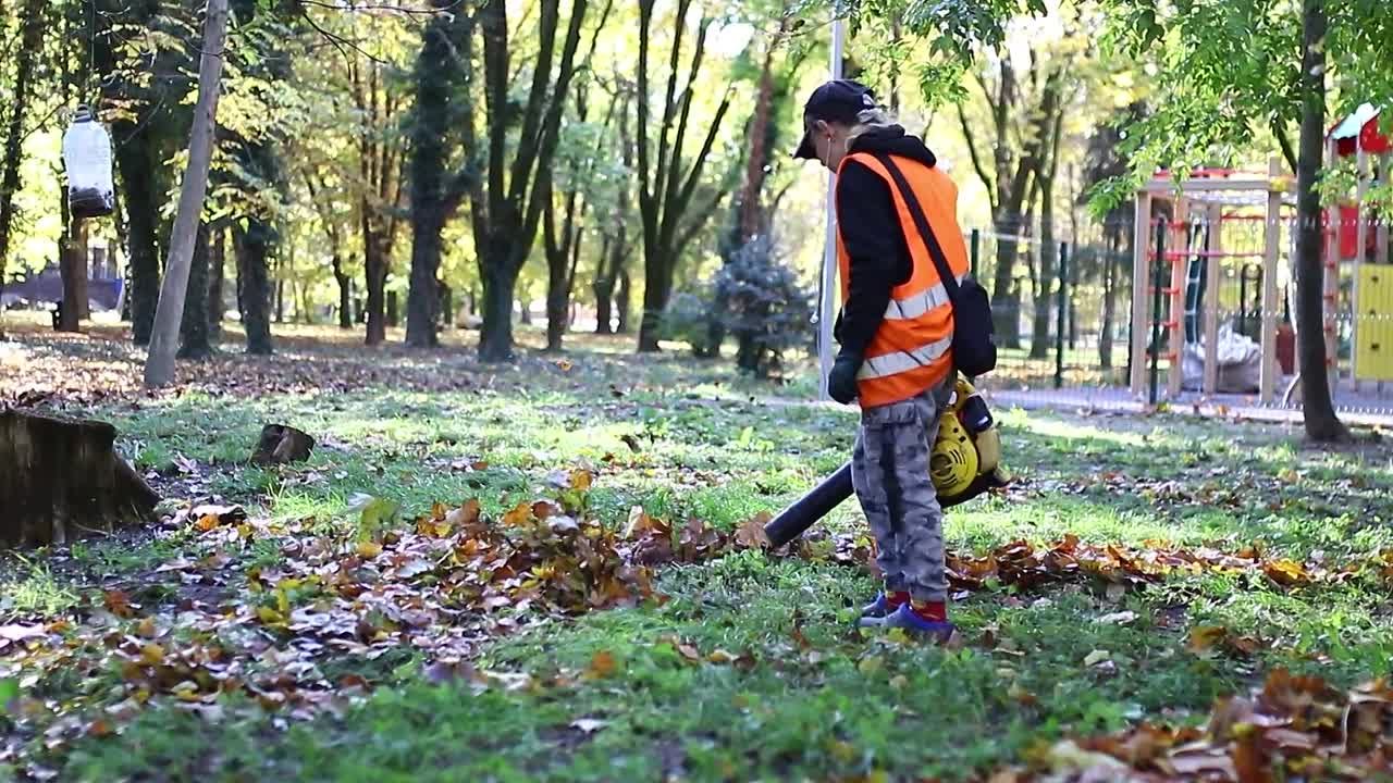 Золотая пора в парках и скверах крымской столицы – время порядка и чистоты