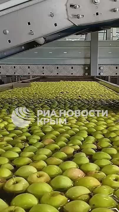 � ��������� ������ ������� 99% ������ ����� � ����� 10 ����� ����