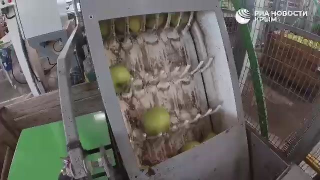 ���� ������ �����, �� ��� ����������� �������� ���� ���� ����� ������