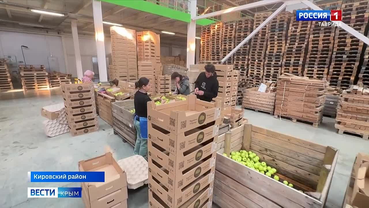 В Крыму в 2025 году собрали более 25 тысяч тонн семечковых культур