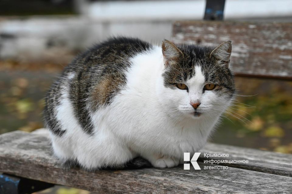 �� ���� ������ ���� �������������� �������� � ���� �������� ������������������ ������