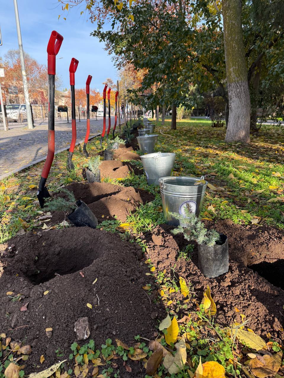 Ольга Шевцова: Из Симферополя в солнечную Евпаторию Ольга Шевцова: Из Симферополя в солнечную Евпаторию