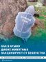 Брикеты с вакциной от бешенства разложили в Ялтинском заповеднике