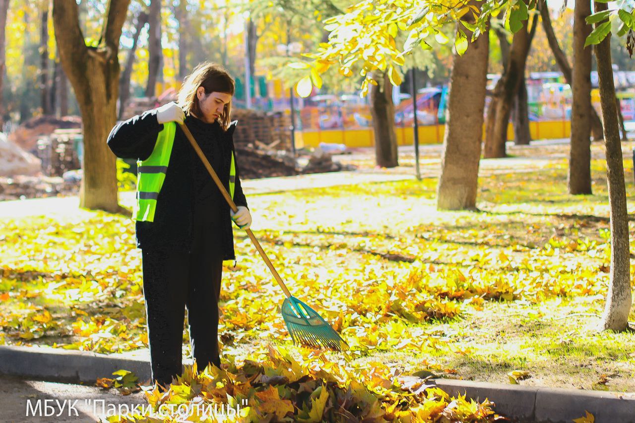 Школьники помогают поддерживать чистоту зелёных зон Симферополя Школьники помогают поддерживать чистоту зелёных зон Симферополя