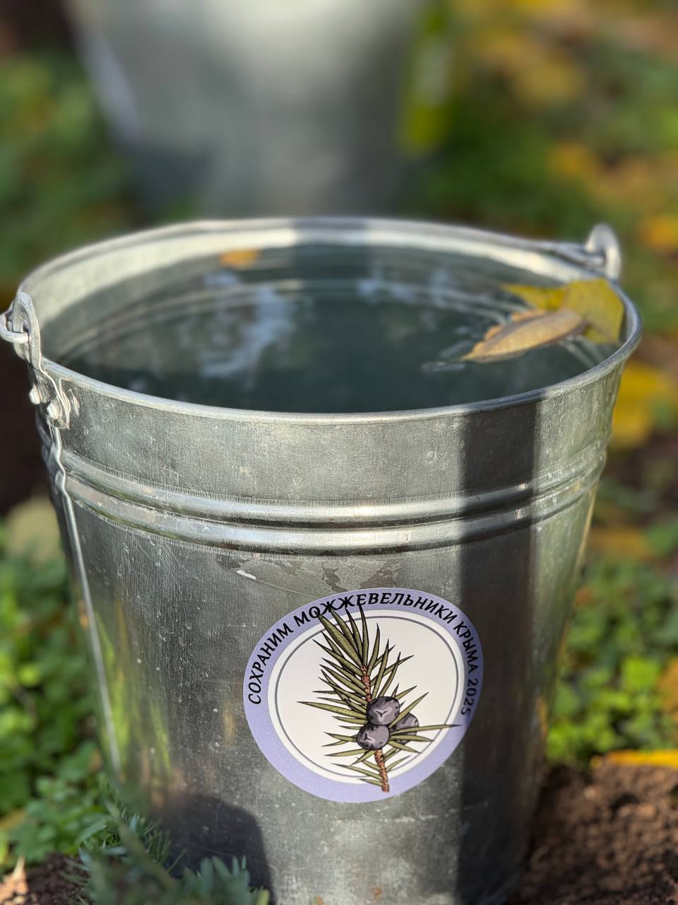 Члены школьных лесничеств Республики Крым приняли участие в семинаре «Сохраним можжевельники Крыма» в Евпатории Члены школьных лесничеств Республики Крым приняли участие в семинаре «Сохраним можжевельники Крыма» в Евпатории