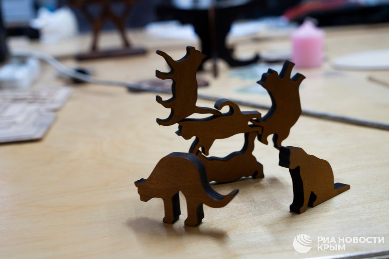 Все началось с 3D-принтера: юрист открыл в Крыму технопарк для детей Все началось с 3D-принтера: юрист открыл в Крыму технопарк для детей