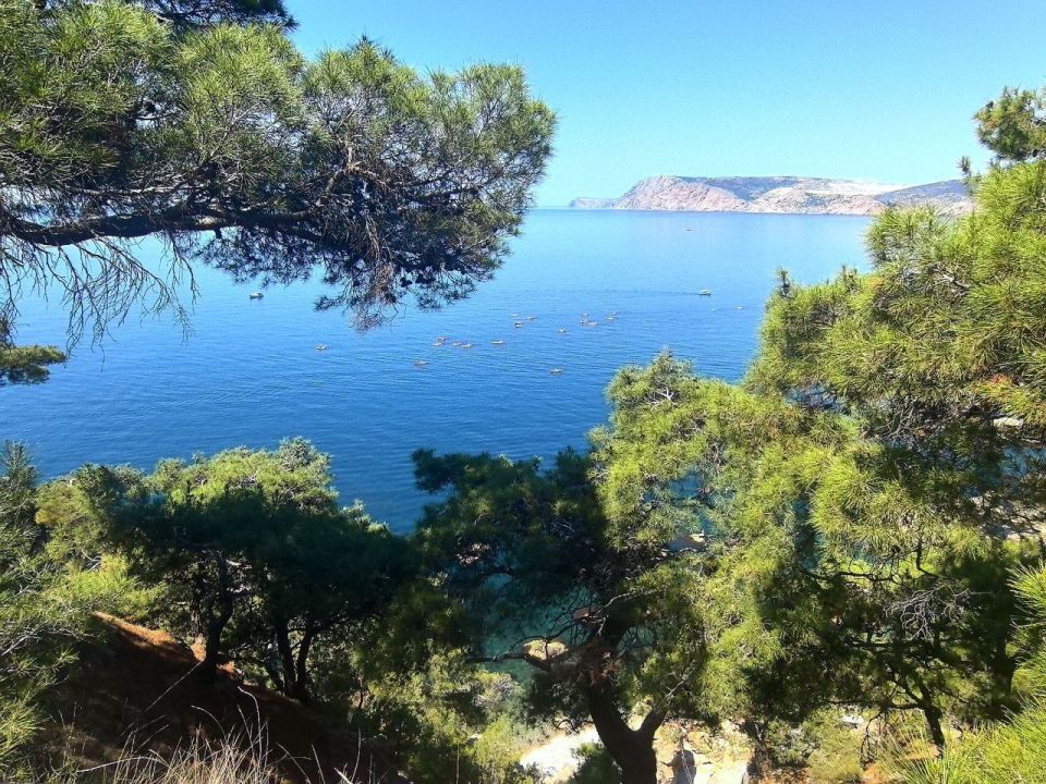 ������ ���������: ������� ������ ��� ������� ��������������� �����