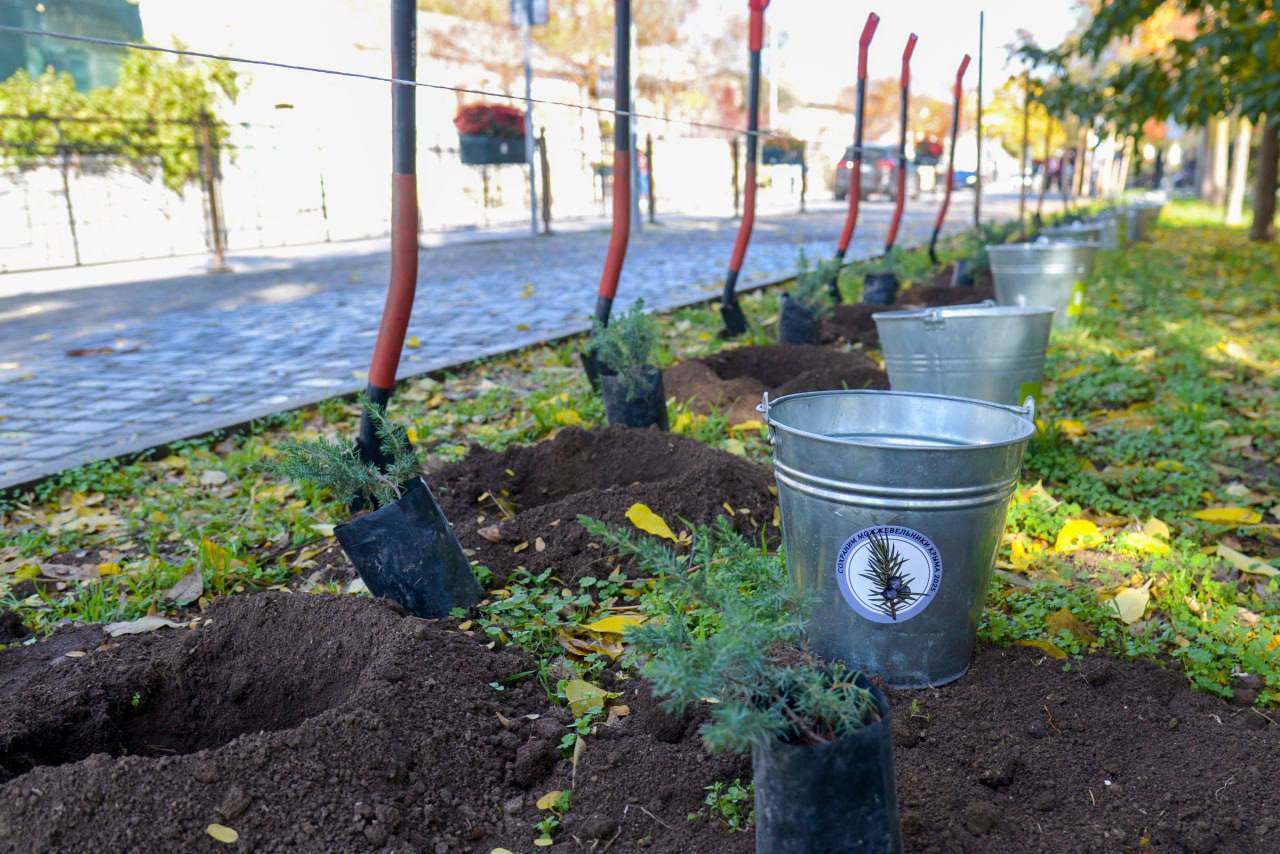 Александр Юрьев: Сегодня вместе с министром экологии и природных ресурсов РК Ольгой Шевцовой и ребятами из школьных лесничеств Республики Крым высадили 42 можжевельника казацкого на ул. Дувановской и ул. Бартенева
