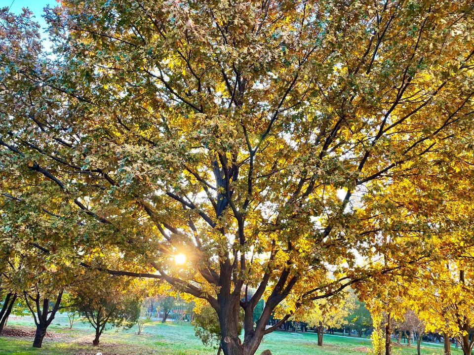 � ������ �����, �������!. ������ ����� ������ � �������, ��� ����� �� ��� ������� �������� � ��� ���� ������ �����