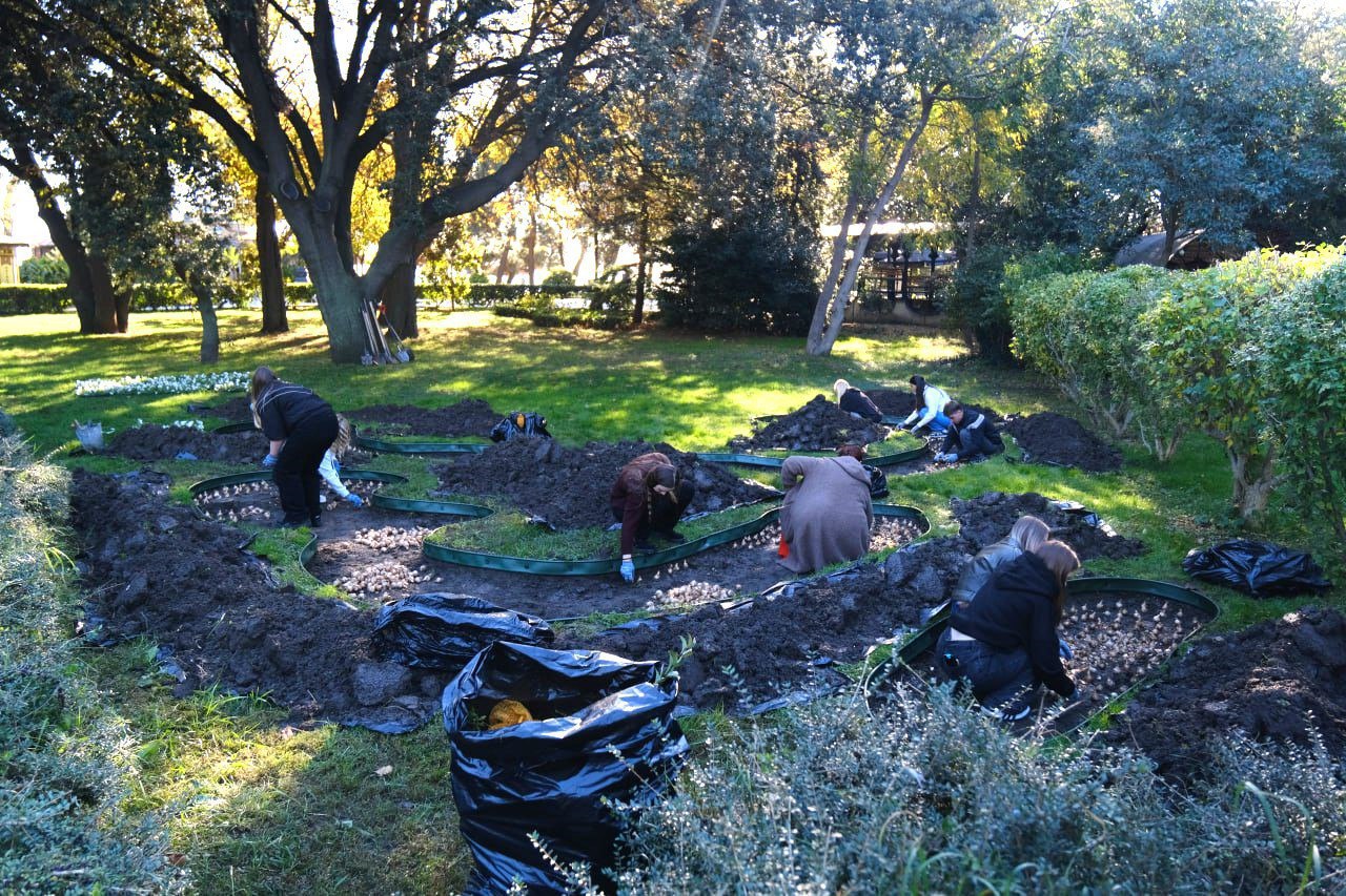 Ялту украсят более 90 тысяч цветов Ялту украсят более 90 тысяч цветов