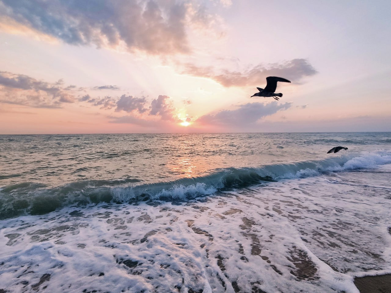 День Чёрного моря: самые интересные факты