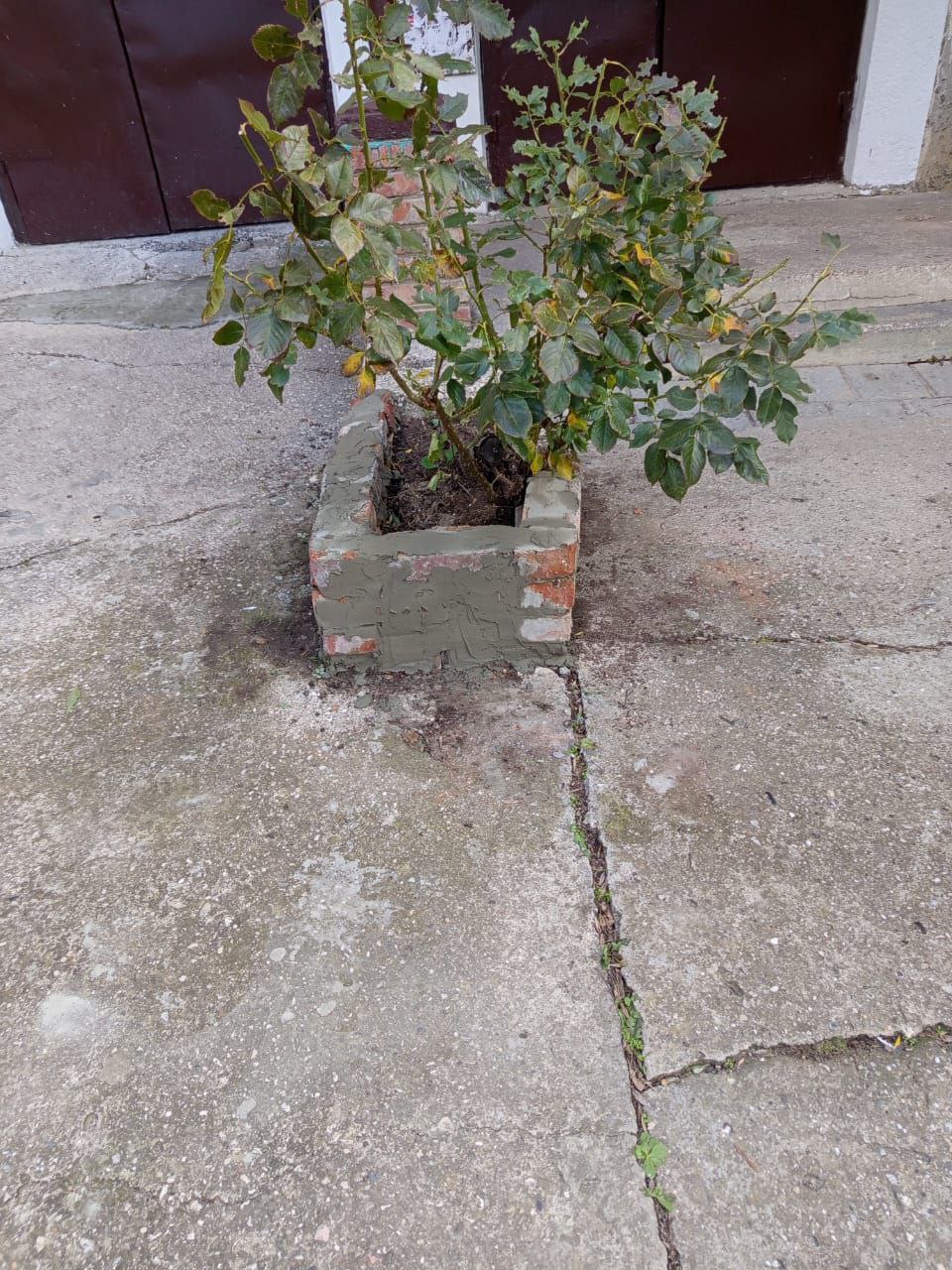 В многоквартирных домах Керчи по согласованию с жителями управляющие компании ведут различные виды ремонтных работ В многоквартирных домах Керчи по согласованию с жителями управляющие компании ведут различные виды ремонтных работ