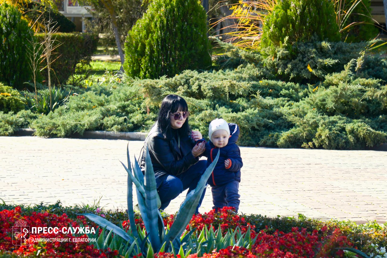 С 23 по 29 октября первые в жизни документы были выданы 23 новорожденным