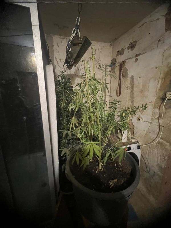 �������� � ������ ����� ���������� ��� ���������� ���������� ������